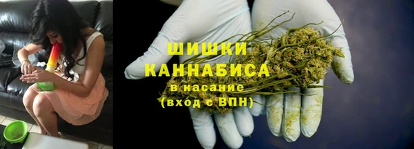 сатива Касимов