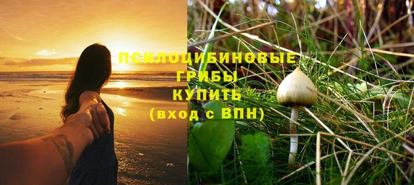 стафф Карпинск