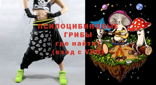 стафф Карпинск