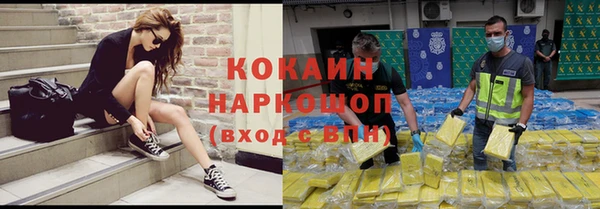 сатива Касимов
