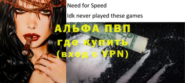 стафф Карпинск
