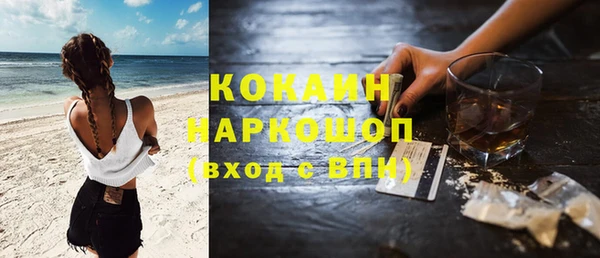 сатива Касимов