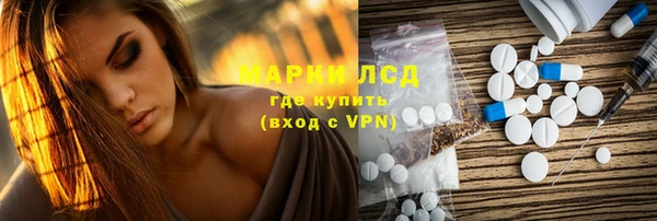 стафф Карпинск